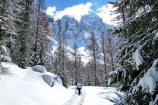 val venegia sotto pale di s martino inverno nebbia nuvole