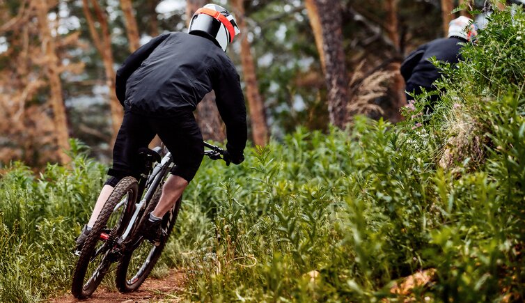 Adobe Stock copertina bikeparks trentino