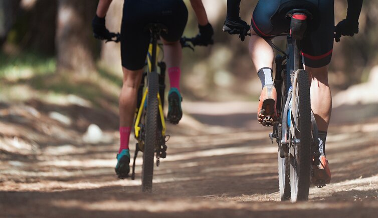 Copertina bici e mountainbike trentino